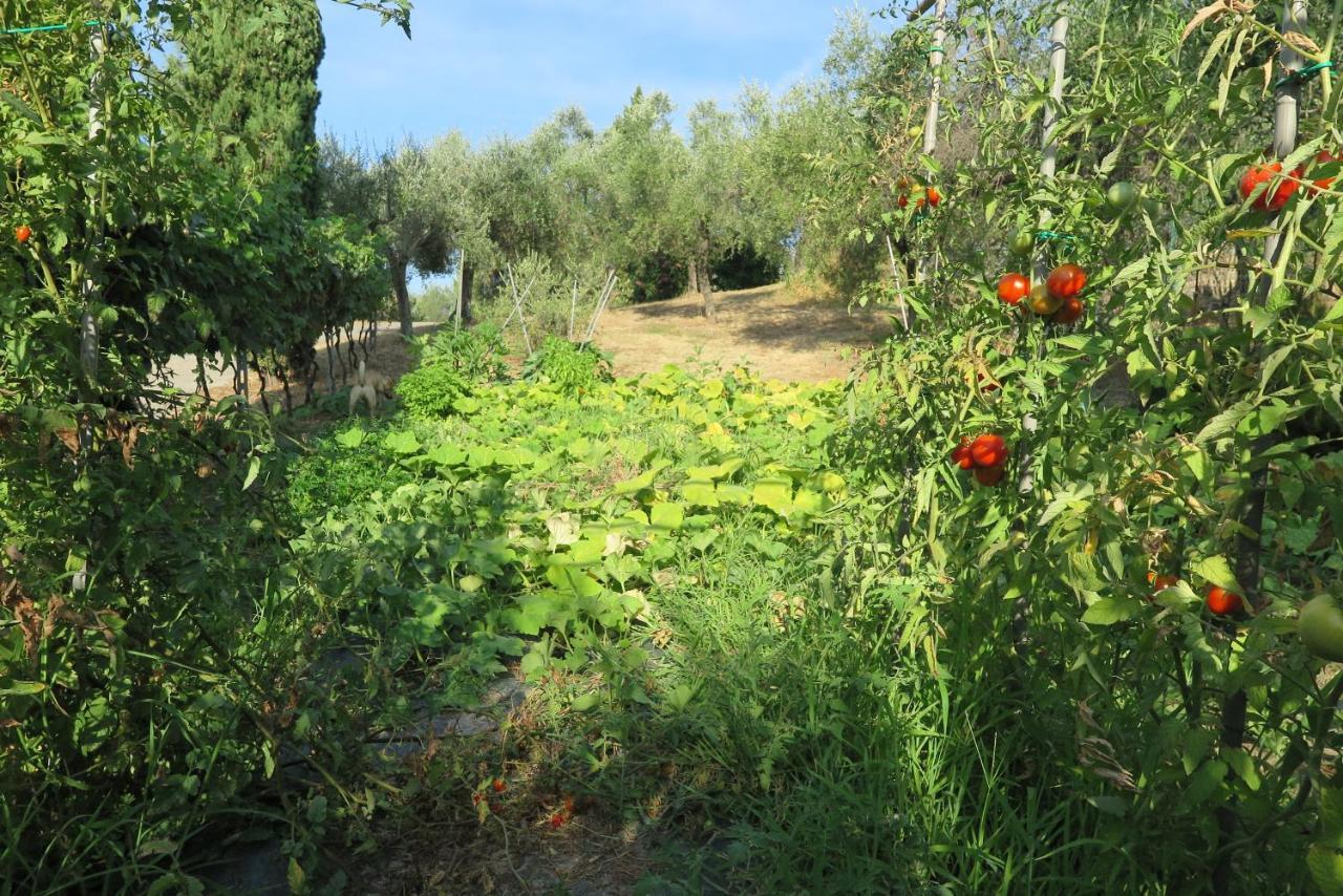 Banks 1 Villa Vezzano Ligure Dış mekan fotoğraf
