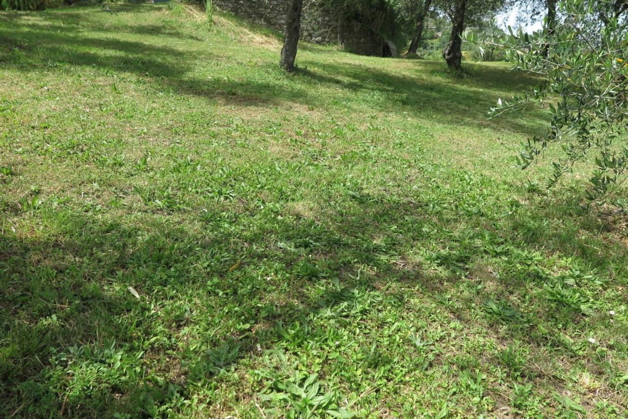 Banks 1 Villa Vezzano Ligure Dış mekan fotoğraf