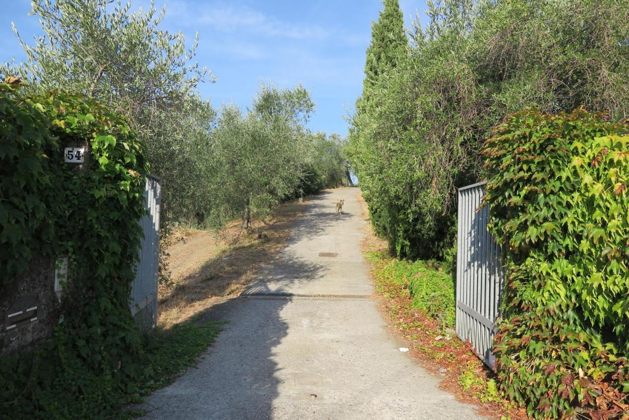 Banks 1 Villa Vezzano Ligure Dış mekan fotoğraf